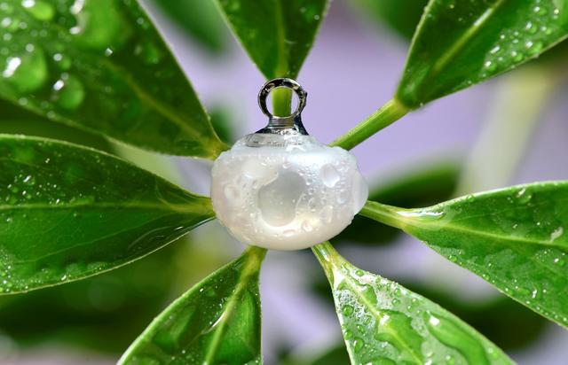 纽扣助手下载（纽扣花样畸形）