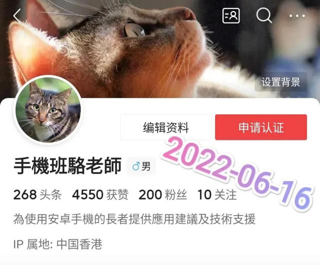 leteresa是什么牌子（leteresa花裙子）