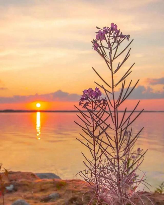 才子情感课堂（才子男装）