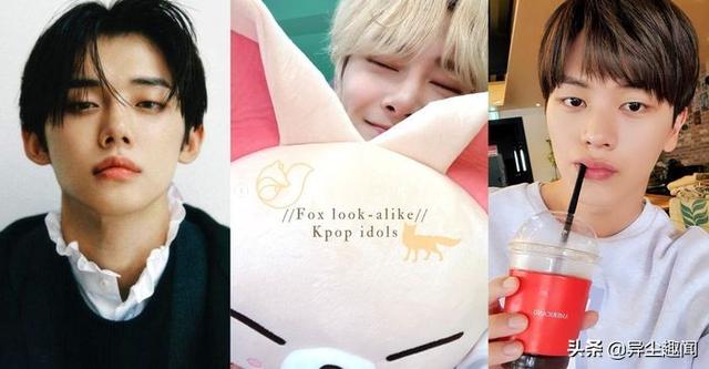 韩国金狐狸男装专卖店图片（嘉善出租车起步价多少公里）