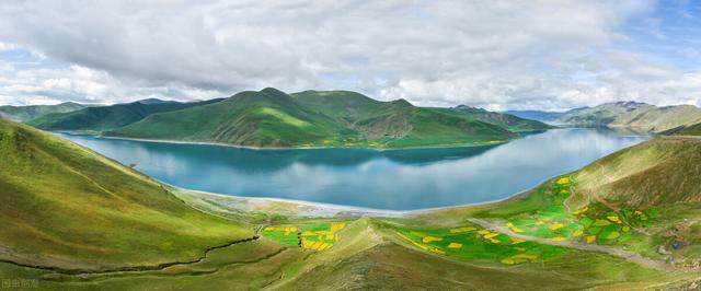 小野豹是什么样的性格（小野豹童装质量怎么样）