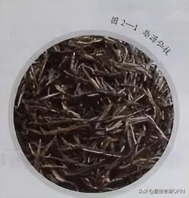 海浮石产自哪里，浮石是哪里？