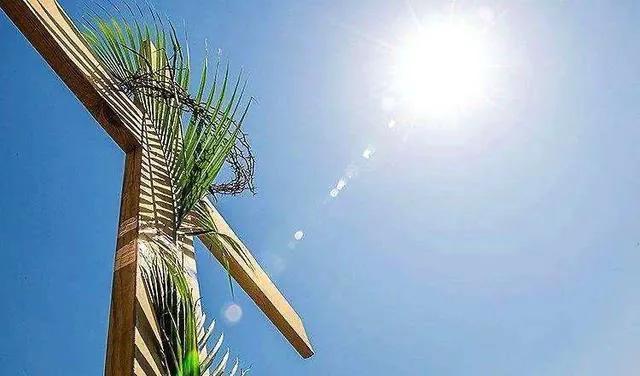 基督教讲道，历史上的这一天，他彰显权柄，洁净神圣的殿堂？