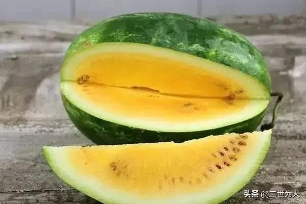到底是“浜瓜”还是“崩瓜”？兼谈老浜、老头浜、老浜瓜的由来