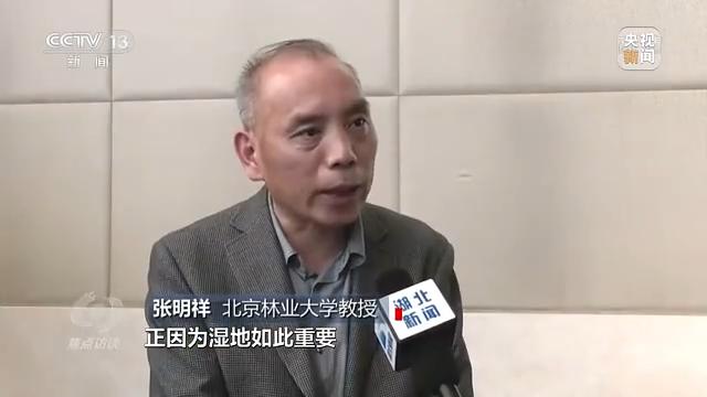日本批发网站平台，日本批发网站平台有哪些？