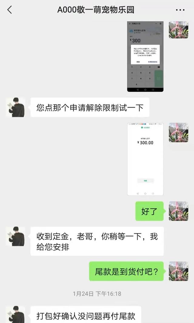 淘宝宠物狗货源怎么找的，淘宝宠物狗货源怎么找不到？