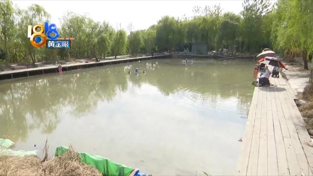 淘宝海带路亚是正品吗，淘宝上的货源？